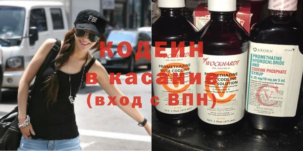 дурь Арсеньев