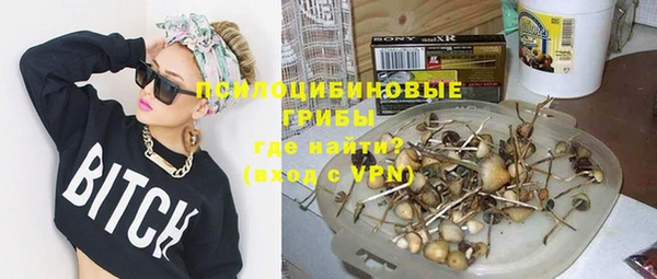дурь Арсеньев