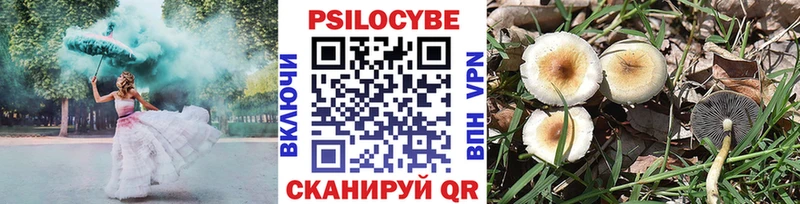 Галлюциногенные грибы Magic Shrooms  Бологое 
