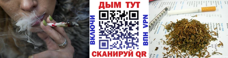 как найти закладки  Бологое  Бошки Шишки семена 